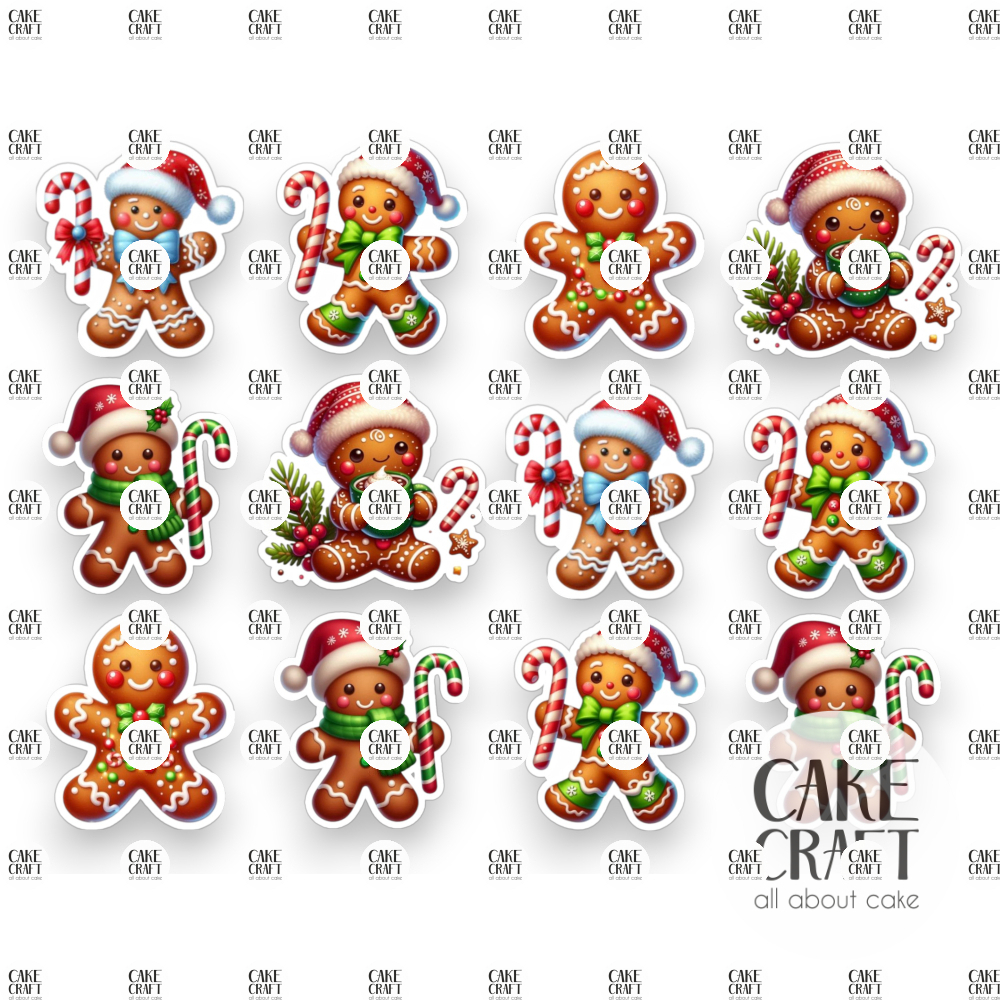 Βρώσιμη Εκτύπωση - Βρώσιμα σχέδια Μπισκοτένιοι - 12τμχ