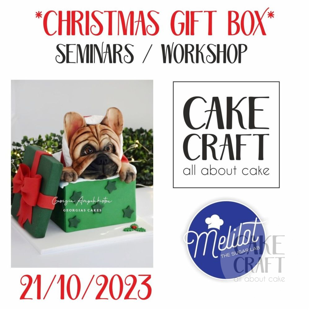 Σεμινάριο μοντελισμού με ζαχαρόπαστα * Christmas Gift Box Σάββατο 21/10/2023 - Γεωργία Αμπελακιώτου