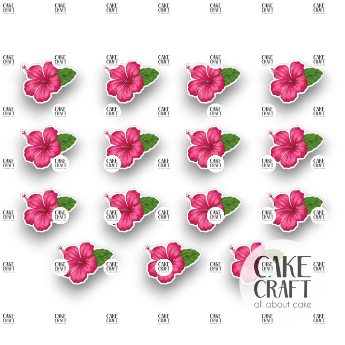 Βρώσιμη Εκτύπωση - Βρώσιμα σχέδια Exotic Flowers - 15τμχ