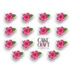 Βρώσιμη Εκτύπωση - Βρώσιμα σχέδια Exotic Flowers - 15τμχ