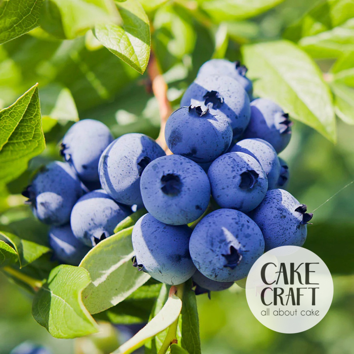 Βρώσιμα Αρώματα - SugarCraft Flavor / Άρωμα  Blueberry 200gr