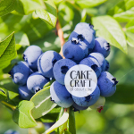 Βρώσιμα Αρώματα - SugarCraft Flavor / Άρωμα  Blueberry 200gr